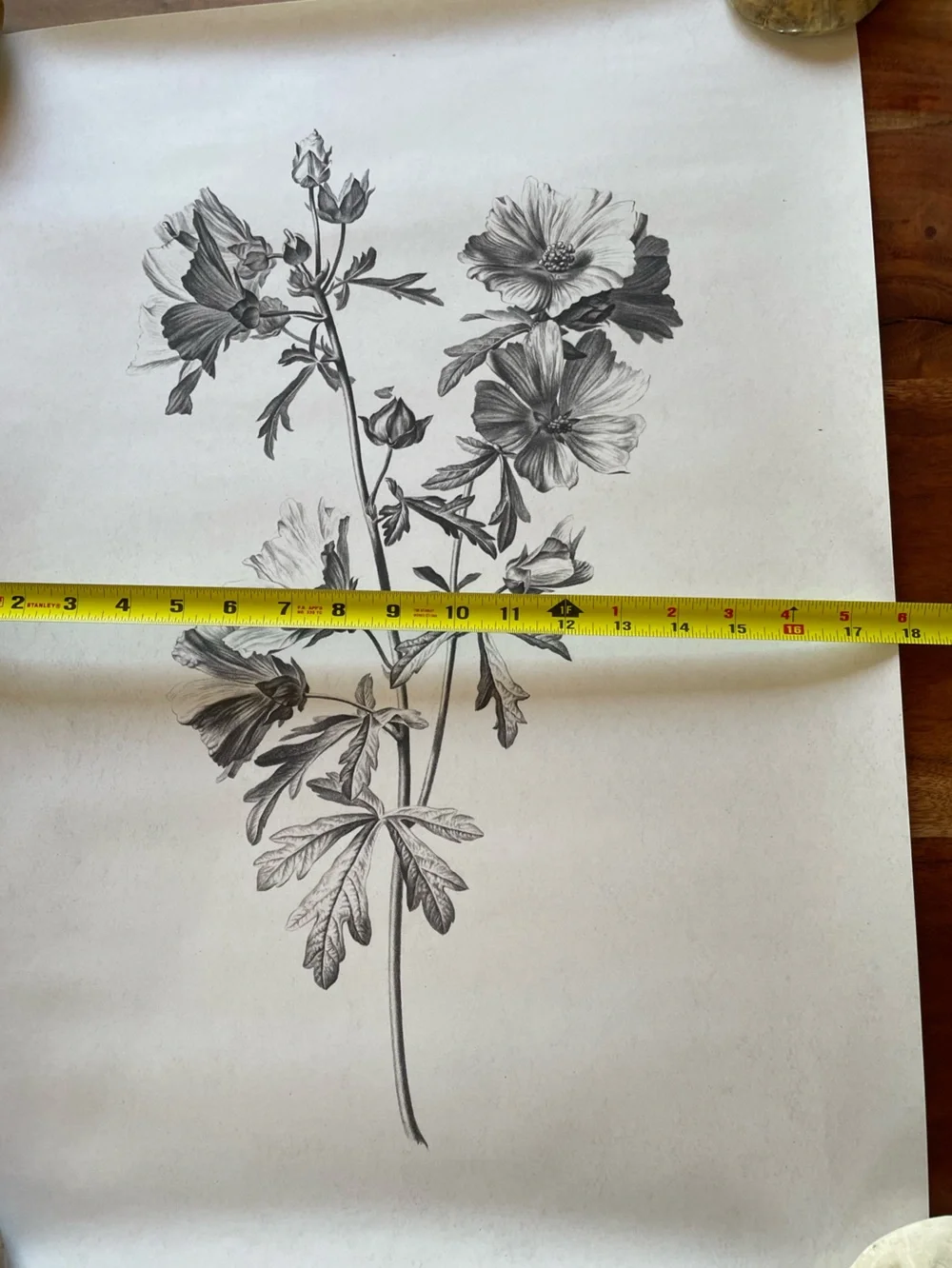 Large Botanical Floral Wall Art Print Illustration in Black and White
